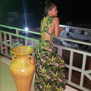 ASOS Grecian plunge maxi dress in hibiscus print